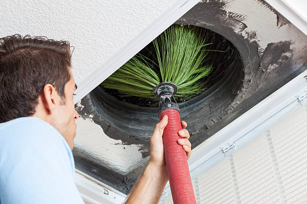 Best Air Duct Mold Removal  in Romeo, MI